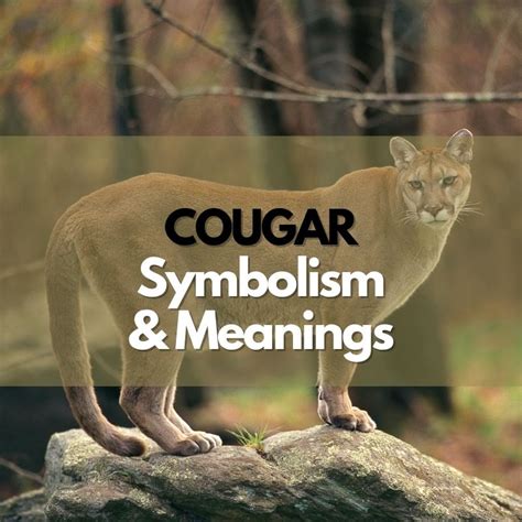 cougar übersetzung|cougar meaning german.